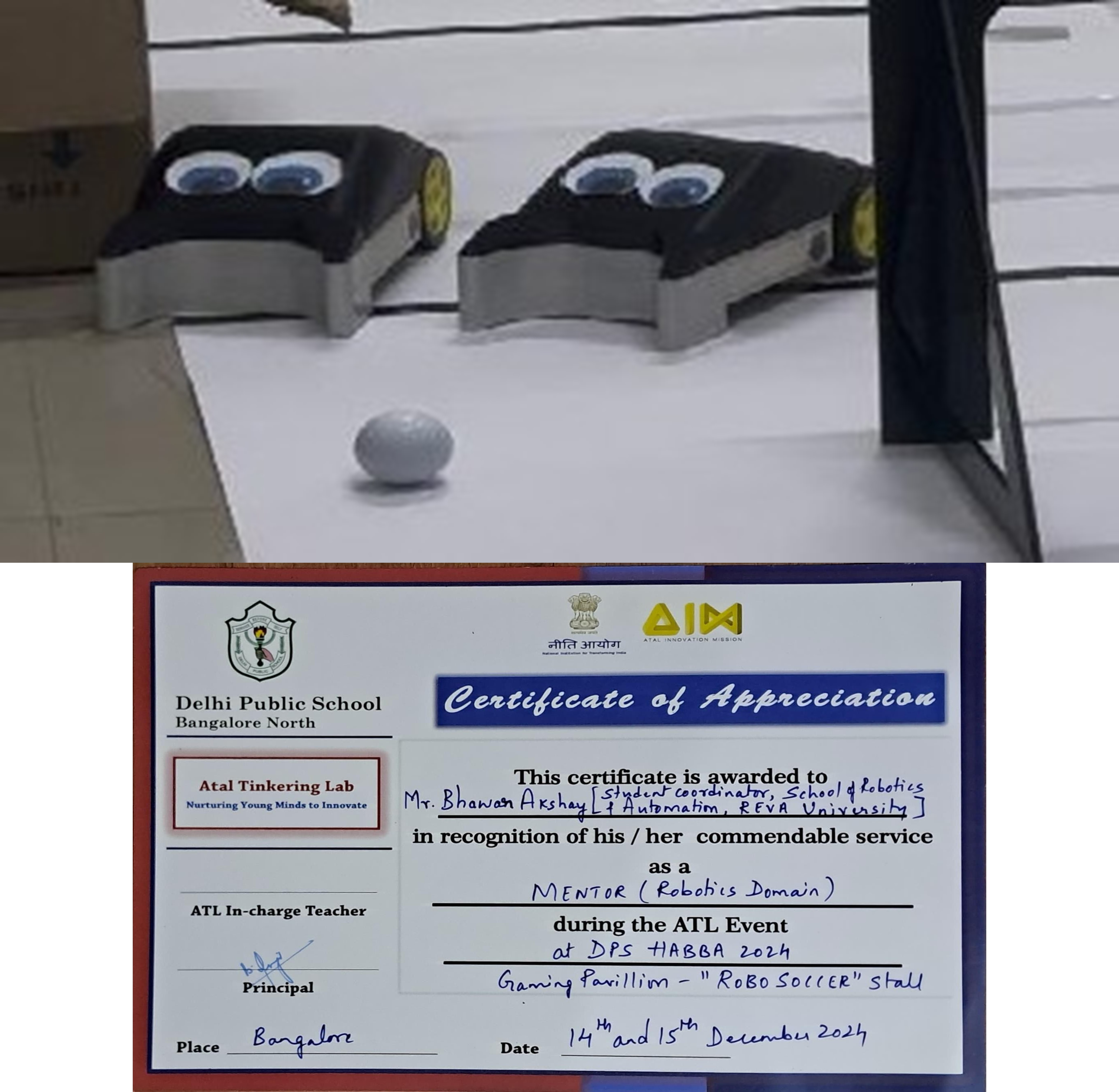 Robo Soccer Workshop